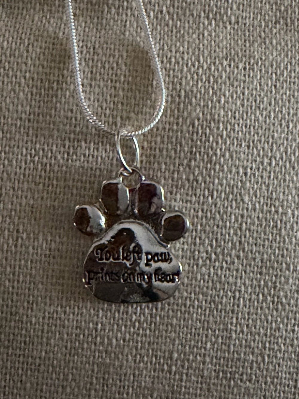 Silver Paw Print Pet Memorial Necklace - Silver Color